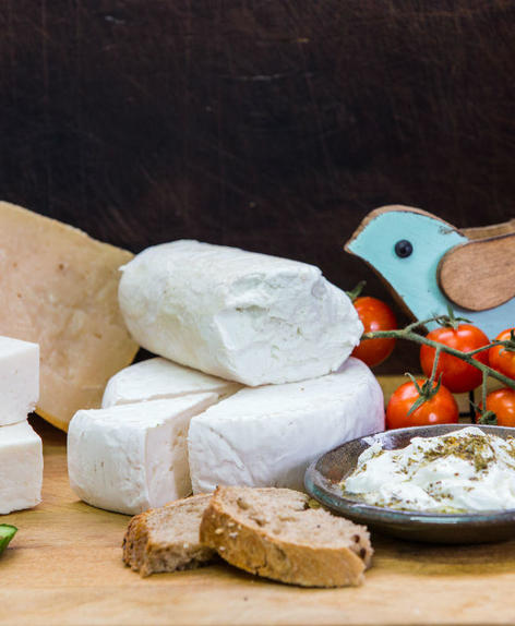 פלטת גבינות