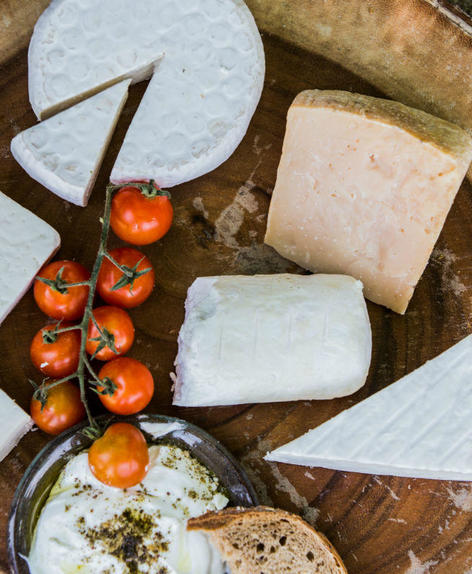 פלטה עם גבינות